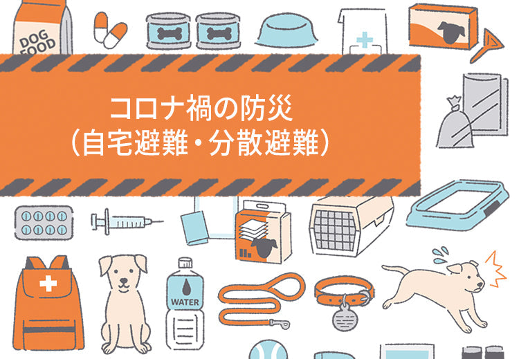 コロナ禍の防災(自宅避難・分散避難)