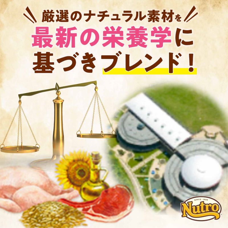 ニュートロ ナチュラル チョイス 中型犬〜大型犬用 エイジングケア ラム&玄米 2kg/4kg/7.5kg/13.5kg