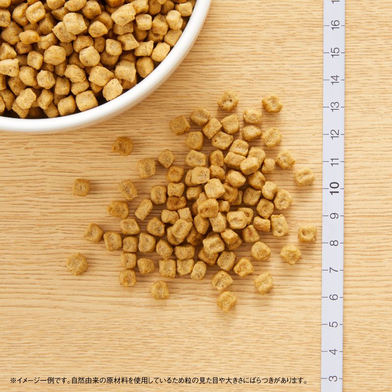 【公式通販限定】ニュートロ ナチュラル チョイス 避妊・去勢犬用 超小型犬〜小型犬用 成犬用 チキン&玄米 5.4kg(600g×9袋)