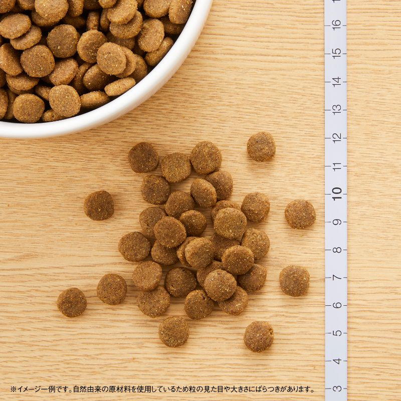 ニュートロ ナチュラル チョイス キャット 食にこだわる猫用 アダルト チキン 500g/2kg