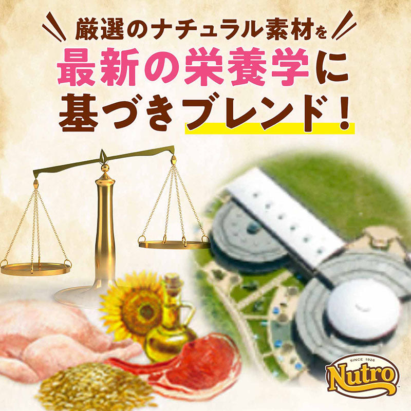 ニュートロ ナチュラル チョイス 減量用 全犬種用 成犬用 ラム&玄米 1kg/2kg/4kg/7.5kg/13.5kg