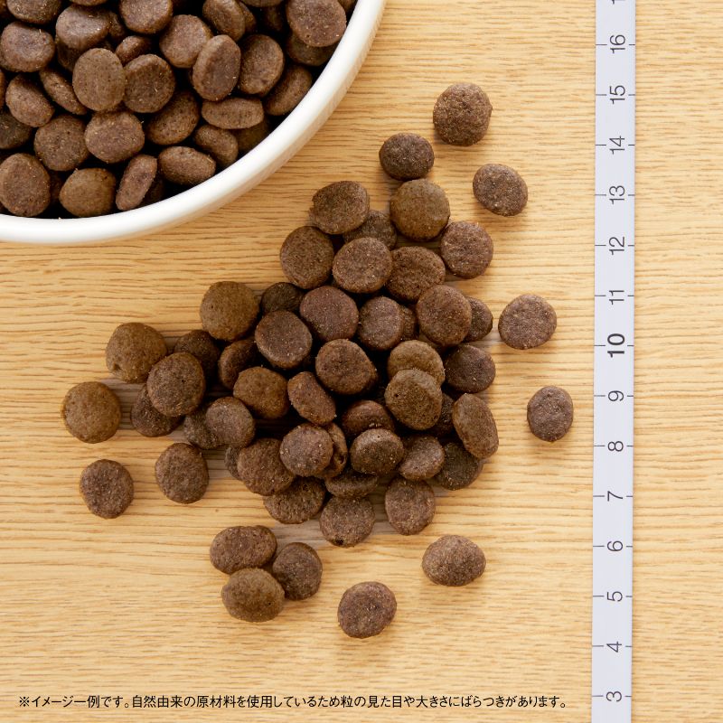 ニュートロ ワイルド レシピ 超小型犬〜小型犬用 成犬用 ビーフ 800g/2kg/4kg