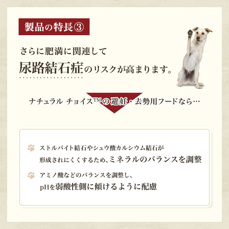 ニュートロ ナチュラル チョイス 避妊・去勢犬用 超小型犬〜小型犬用 成犬用 生後8ヶ月以上 チキン&玄米 1kg/3kg/6kg