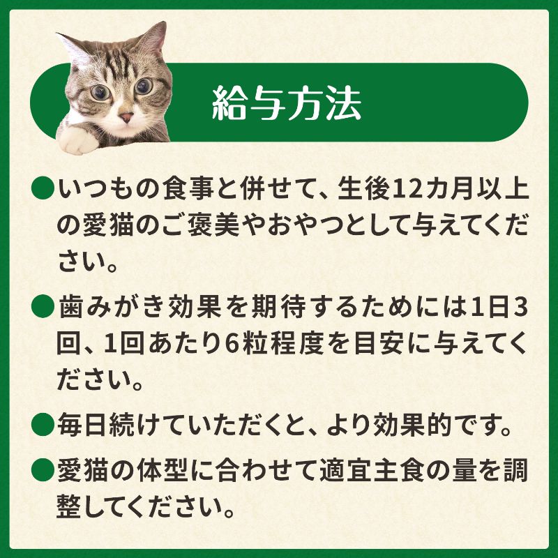 猫用グリニーズ チキン味&サーモン味 旨味ミックス 60g/130g
