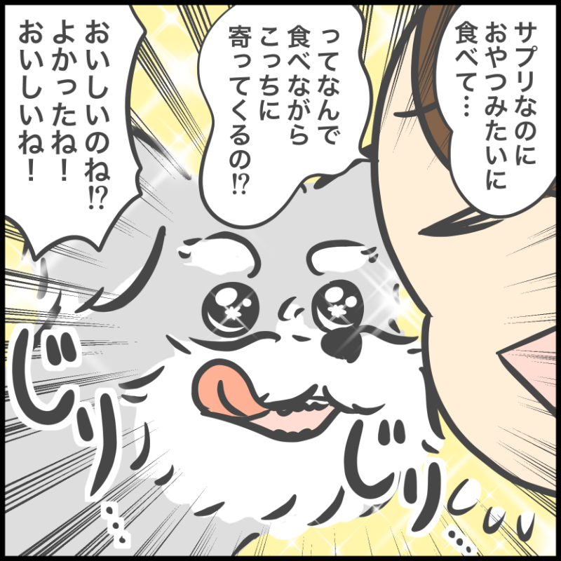 グリニーズ デイリーサプリメント おなかの健康サポート 犬用サプリメント 63g/126g