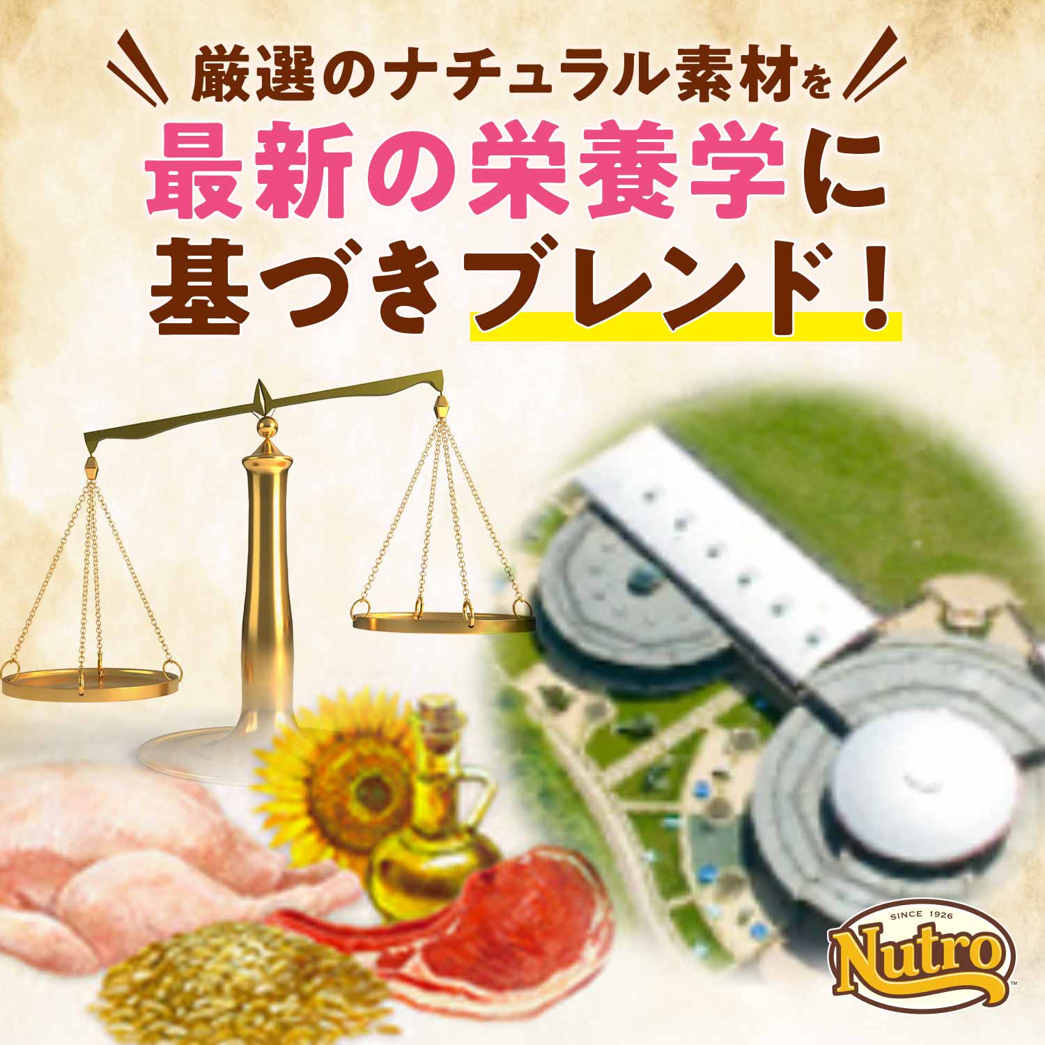 ニュートロ ナチュラル チョイス キャット 室内猫用 エイジングケア チキン 500g/2kg