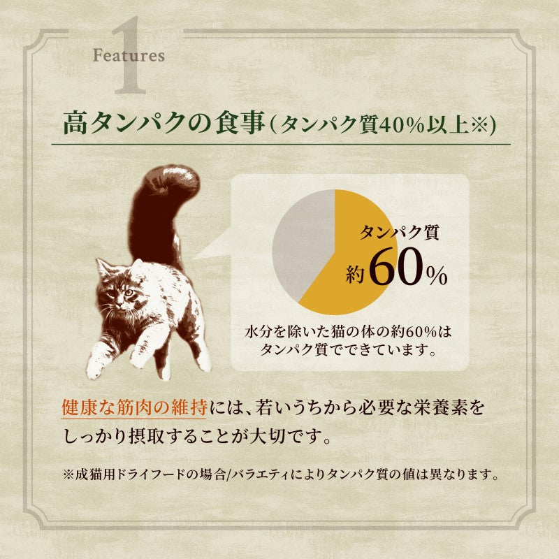 ニュートロ キャット ワイルド レシピ フリーズドライプラス アダルト サーモン 成猫用 400g/1kg