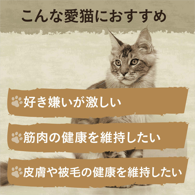 ニュートロ キャット ワイルド レシピ アダルト サーモン 成猫用 400g/1kg/2kg