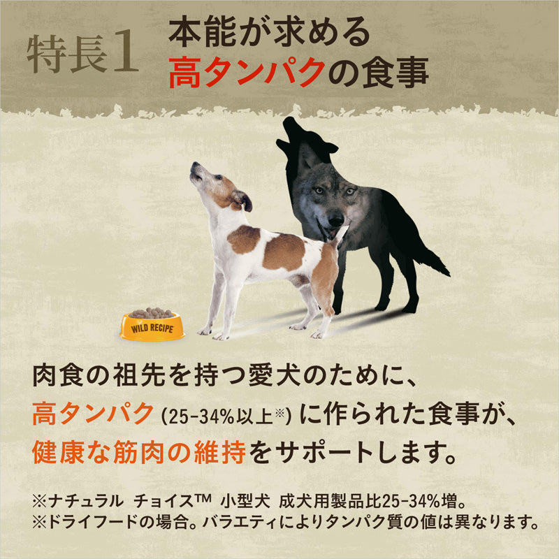 ニュートロ ワイルド レシピ 超小型犬〜小型犬用 成犬用 ビーフ 800g/2kg/4kg