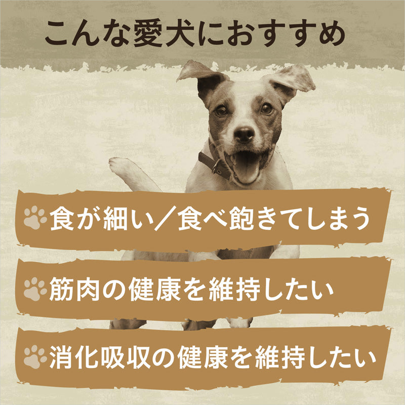 ニュートロ ワイルド レシピ 超小型犬〜小型犬用 成犬用 ビーフ 800g/2kg/4kg