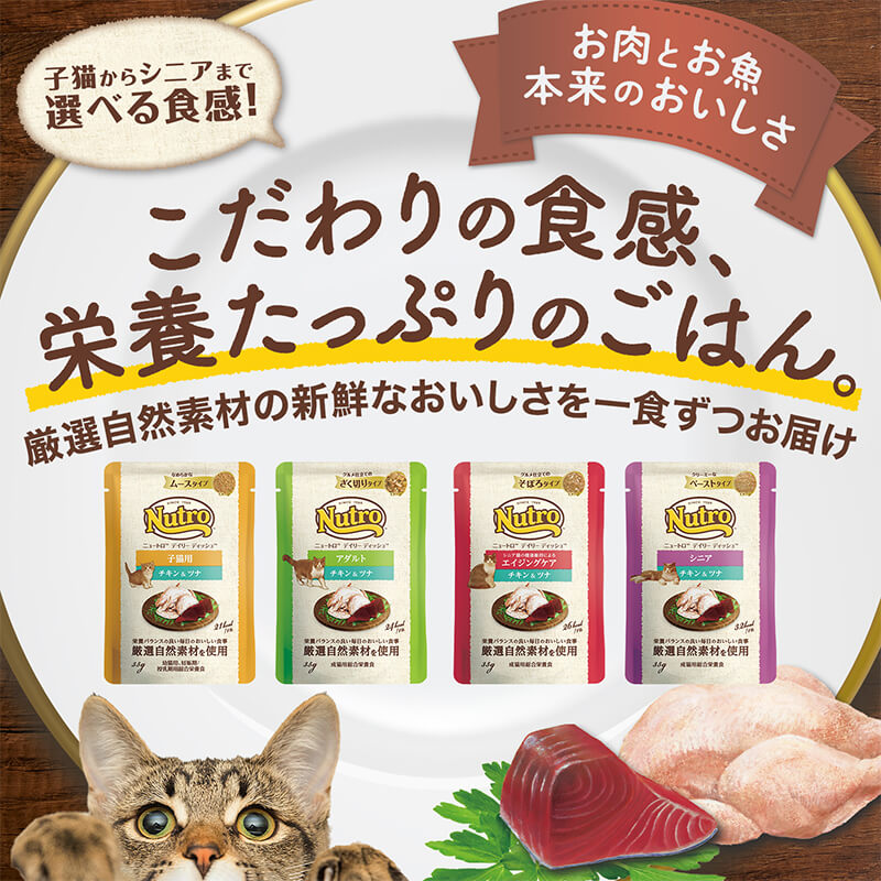 ニュートロ キャット デイリー ディッシュ シニア猫用 チキン クリーミーなペーストタイプ パウチ