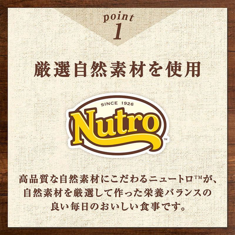 ニュートロ キャット デイリー ディッシュ シニア猫用 チキン クリーミーなペーストタイプ パウチ