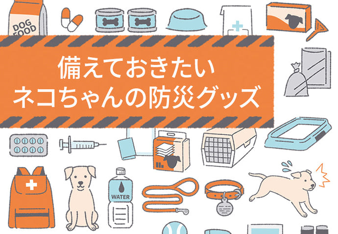 備えておきたい愛猫の防災グッズ