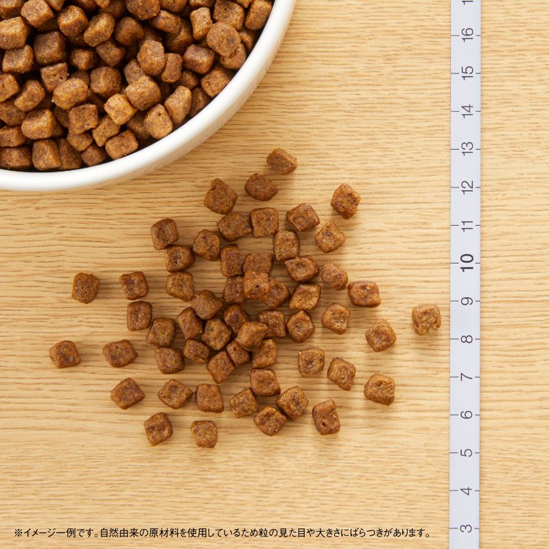 ニュートロ ナチュラル チョイス 子犬用 妊娠中・授乳中の母犬にも 超小型犬〜中型犬用 チキン＆玄米 1kg/3kg/6kg