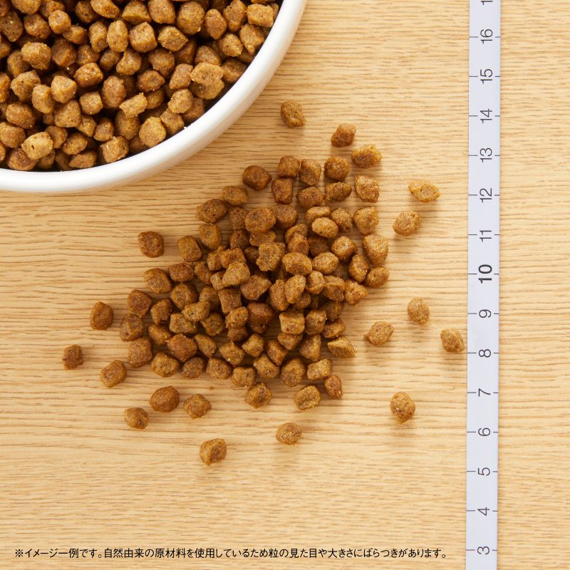 ニュートロ ナチュラル チョイス 超小型犬4kg以下用 成犬用 チキン＆玄米 800g/2kg/4kg