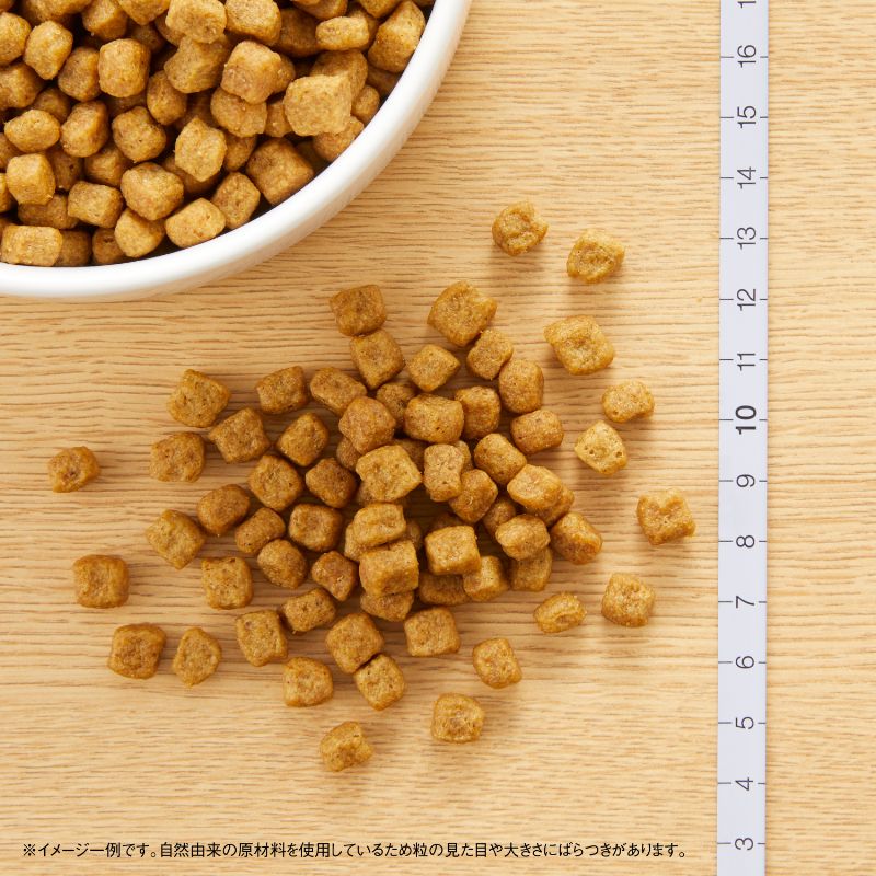 ニュートロ ナチュラル チョイス 小型犬用 エイジングケア チキン＆玄米 1kg/3kg/6kg