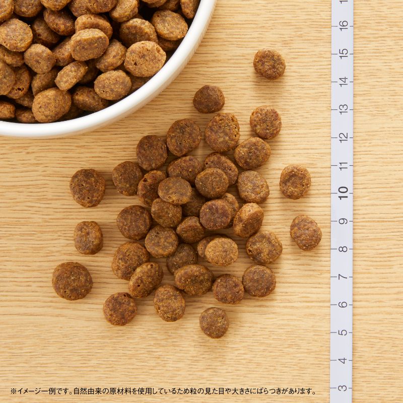 ニュートロ ナチュラル チョイス 全犬種用 成犬用 フィッシュ＆ポテト 1kg/3kg/6kg