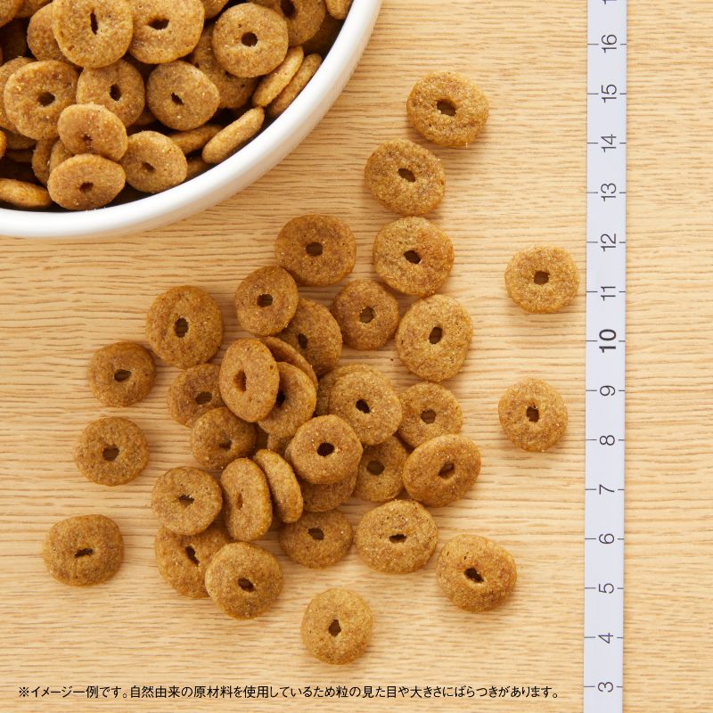 ニュートロ ナチュラル チョイス 中型犬〜大型犬用 エイジングケア チキン＆玄米 2kg/4kg/7.5kg/13.5kg