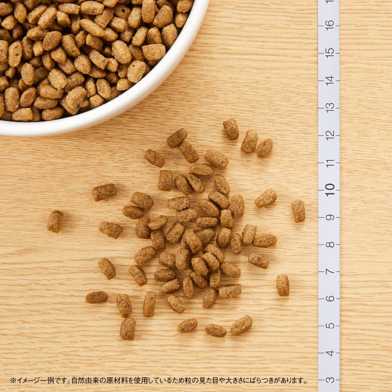 ニュートロ ナチュラル チョイス キャット 室内で暮らす子猫用 チキン 500g/2kg