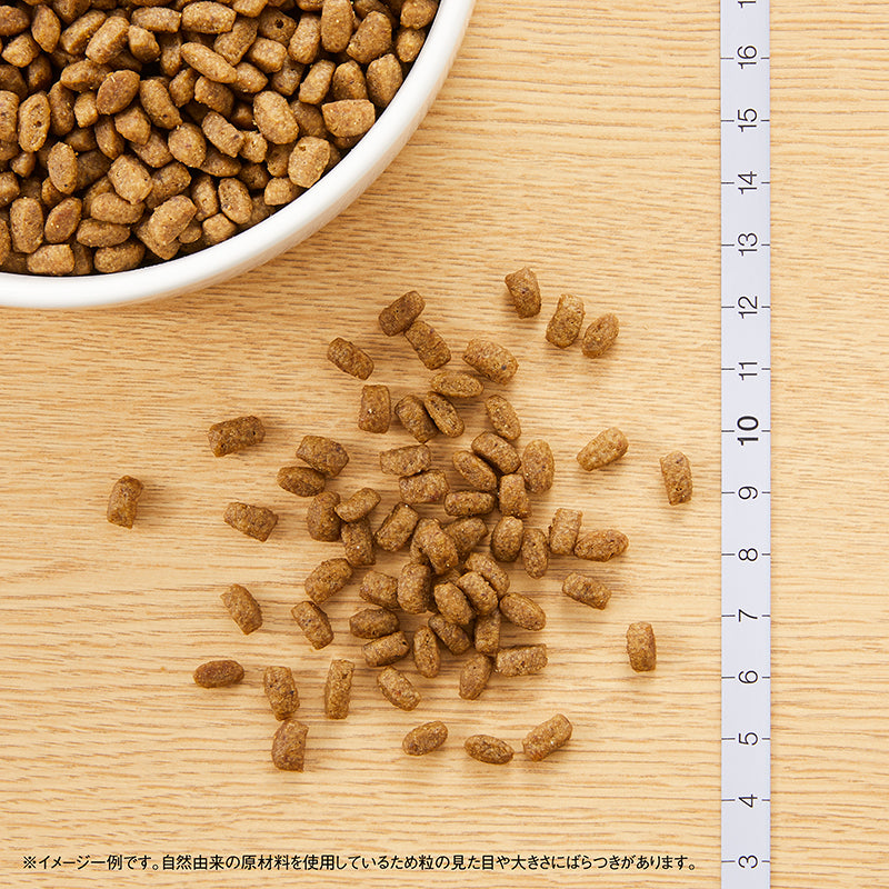 【公式通販限定】ニュートロ 子猫セット（ナチュラル チョイス チキン 4.4kg / デイリー ディッシュ チキン＆ツナ パウチ×7袋セット）