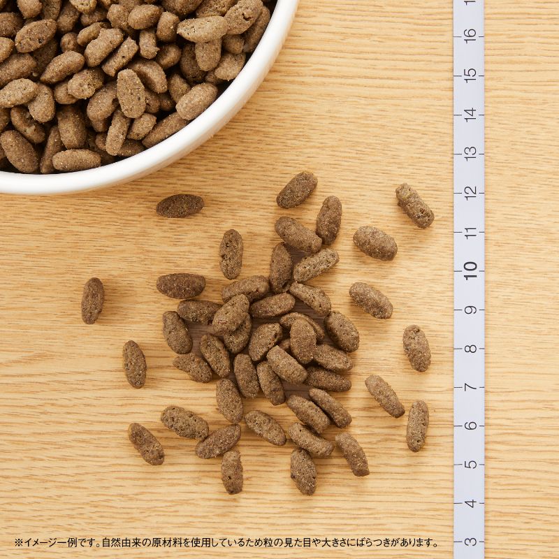 ニュートロ ナチュラル チョイス キャット 室内猫用 アダルト チキン 500g/2kg