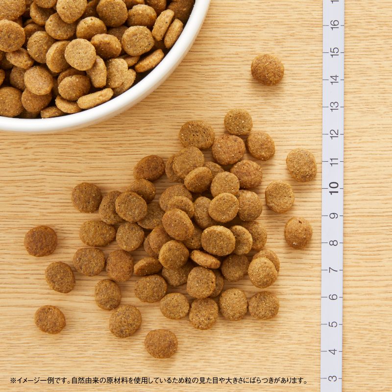 ニュートロ ナチュラル チョイス 子犬用 妊娠中・授乳中の母犬にも 全犬種用 ラム＆玄米 1kg/3kg/6kg