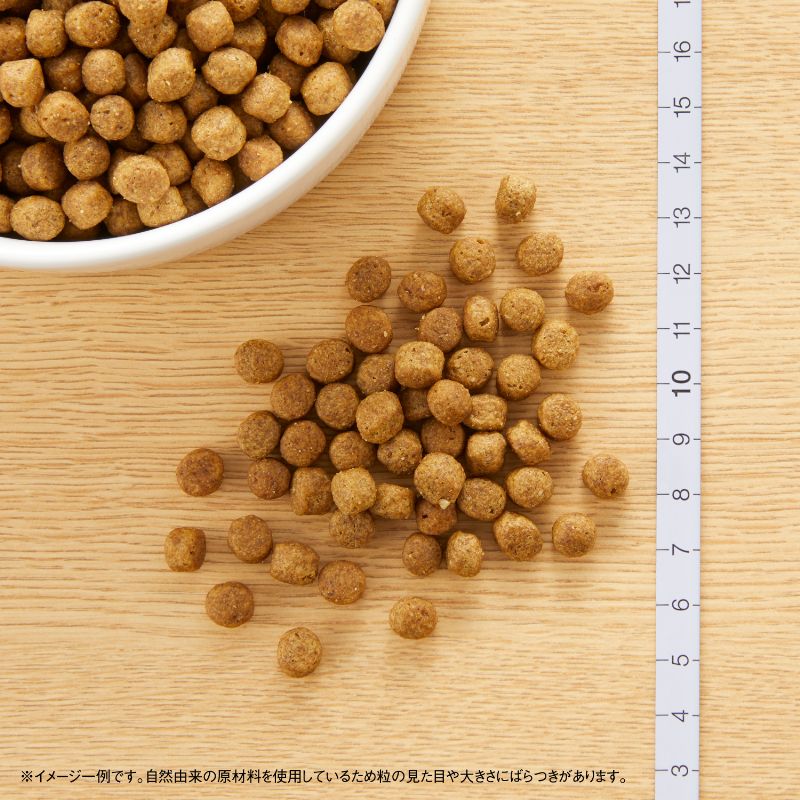 ニュートロ ナチュラル チョイス 超小型犬〜小型犬用 成犬用 ラム＆玄米 1kg/3kg/6kg