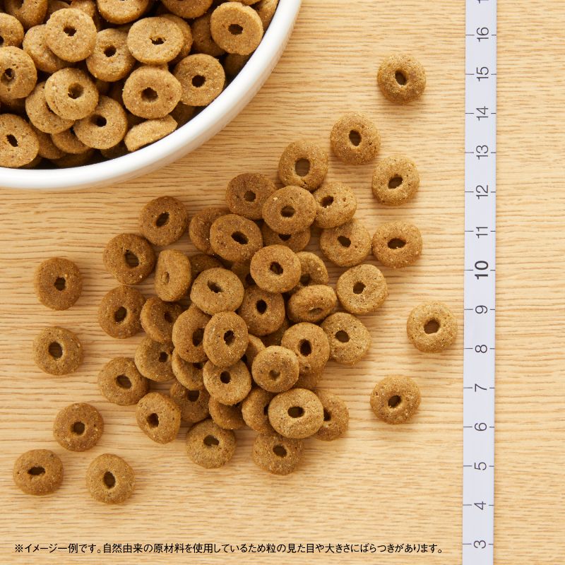 ニュートロ ナチュラル チョイス 中型犬〜大型犬用 エイジングケア ラム＆玄米 2kg/4kg/7.5kg/13.5kg