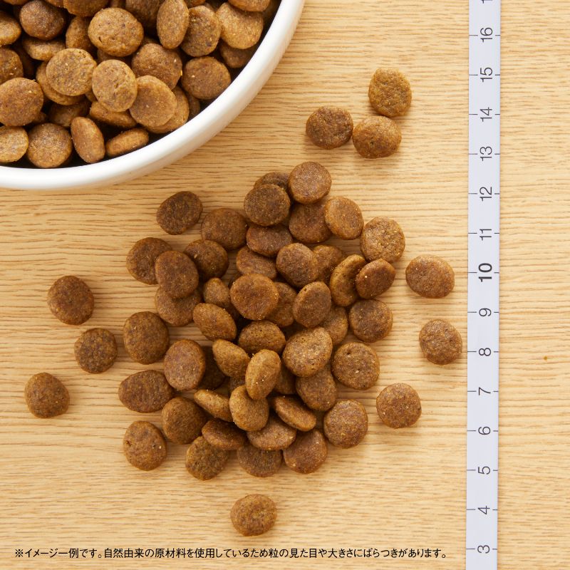 ニュートロ ワイルド レシピ 超小型犬〜小型犬用 成犬用 チキン 800g/2kg/4kg