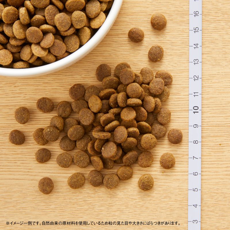 ニュートロ ワイルド レシピ 超小型犬〜小型犬用 成犬用 サーモン 800g/2kg/4kg