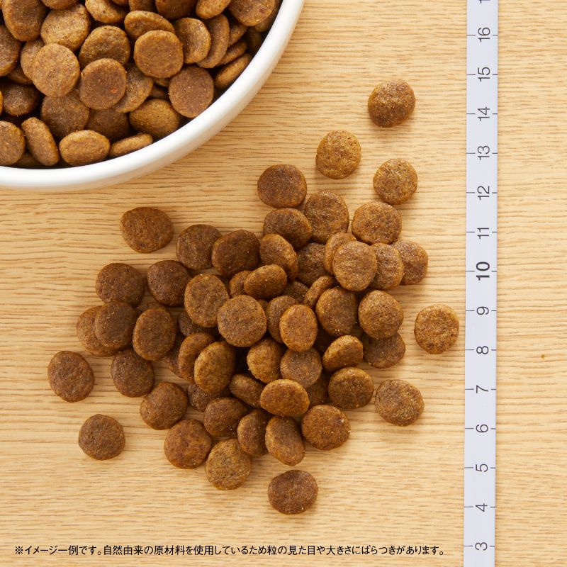 ニュートロ ワイルド レシピ 超小型犬〜小型犬用 成犬用 ラム 800g/2kg/4kg