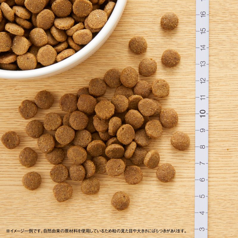 ニュートロ キャット ワイルド レシピ アダルト チキン 成猫用 400g/1kg/2kg