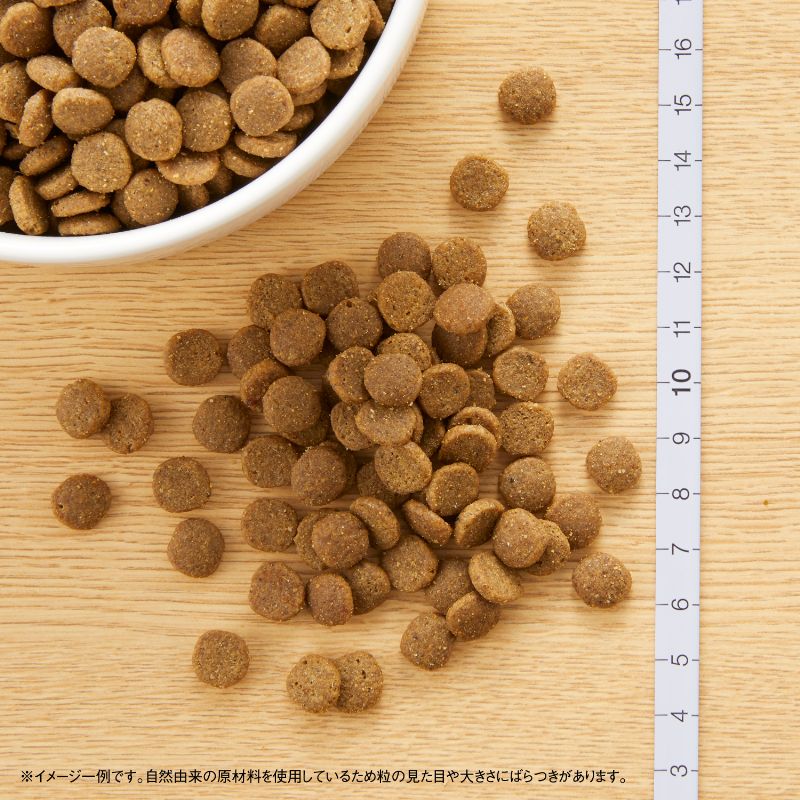 ニュートロ キャット ワイルド レシピ エイジングケア チキン シニア猫用 400g/1kg/2kg
