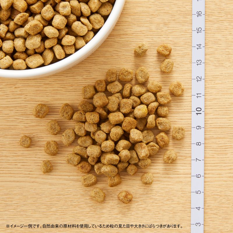 【公式通販限定】ニュートロ ナチュラル チョイス 減量用 超小型犬〜小型犬用 成犬用 チキン＆玄米 5.4kg（600g×9袋）