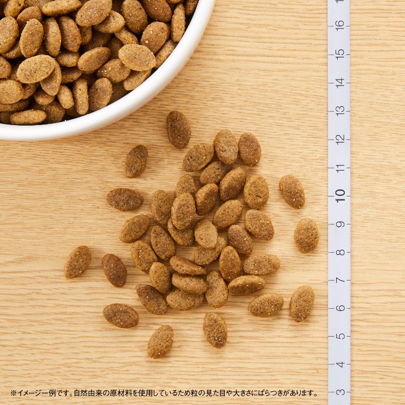 ニュートロ シュプレモ 超小型犬〜小型犬用 成犬用 地中海のレシピ ラム 800g/2kg/4kg