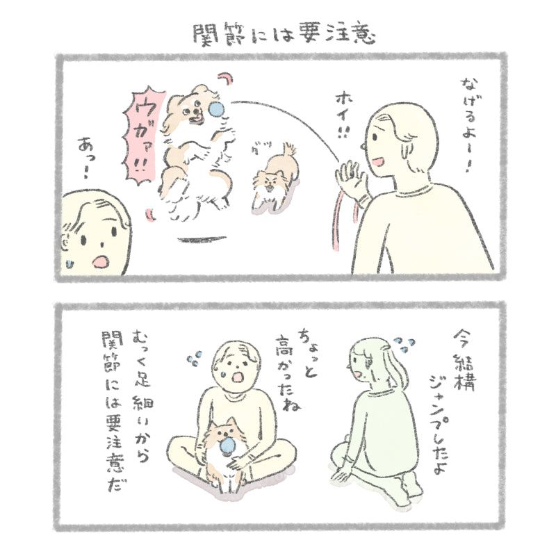 グリニーズ デイリーサプリメント 関節の健康サポート 犬用