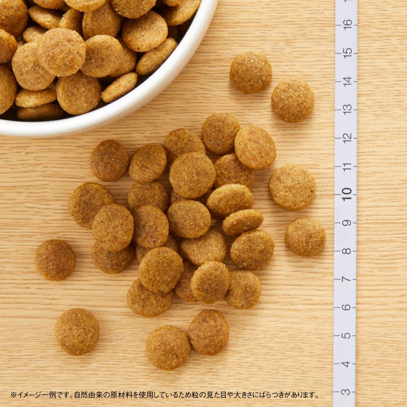 ニュートロ ナチュラル チョイス 中型犬〜大型犬用 成犬用 チキン&玄米 3kg/15kg