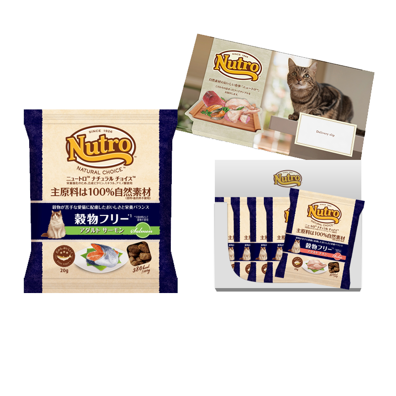 【お試しサンプル】ナチュラル チョイス 穀物フリー アダルト サーモン 成猫用 100g（20g×5袋）