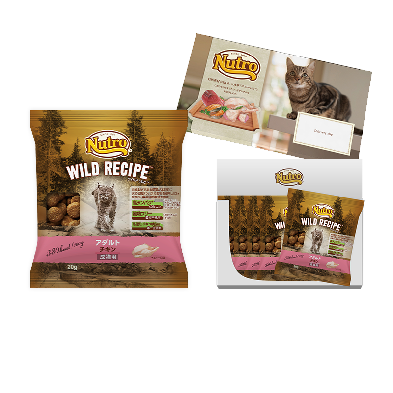 【お試しサンプル】ワイルド レシピ アダルト チキン 成猫用 100g（20g×5袋）