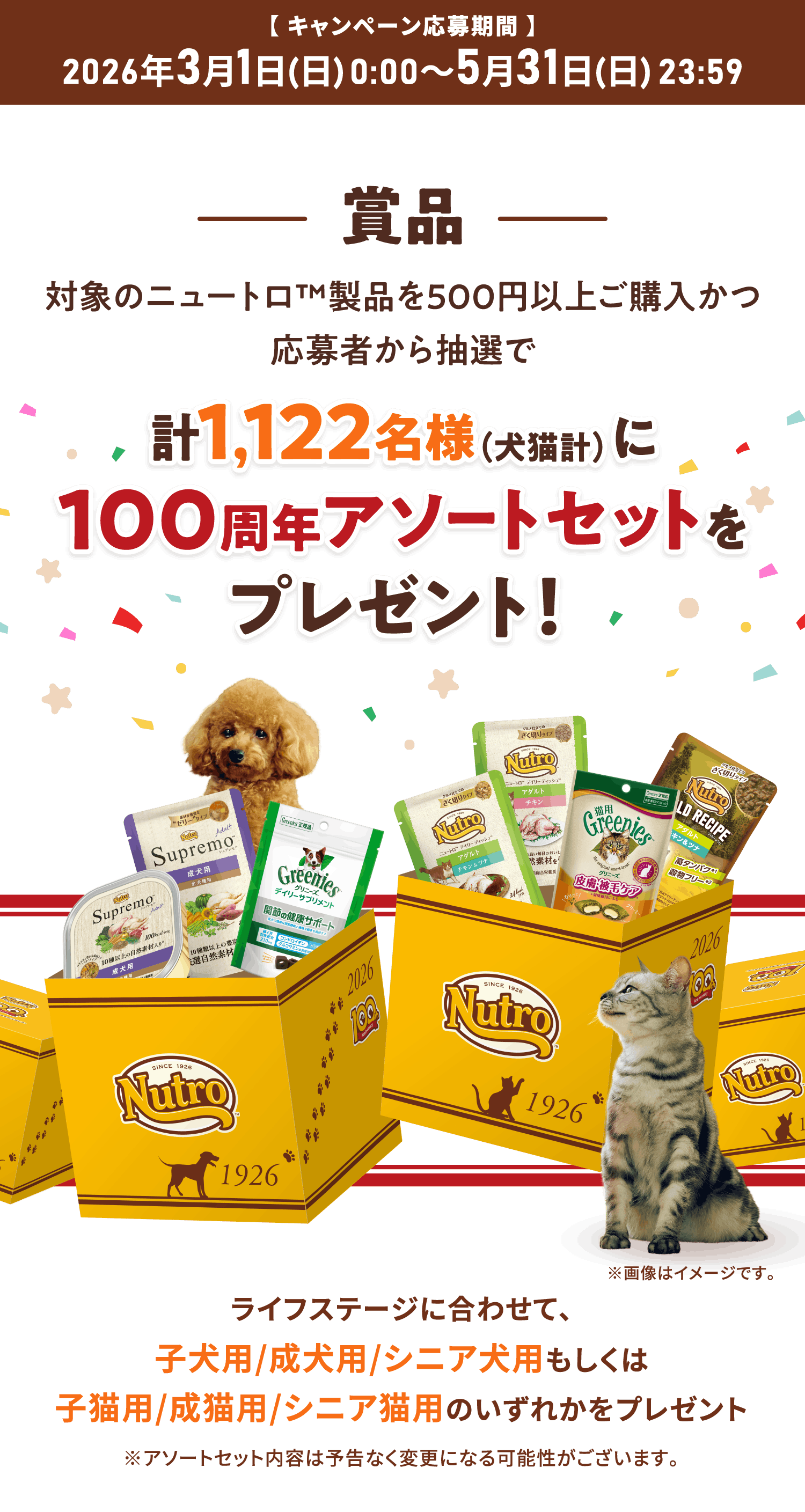 キャンペーン応募期間／賞品について