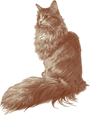 Blog decorative image