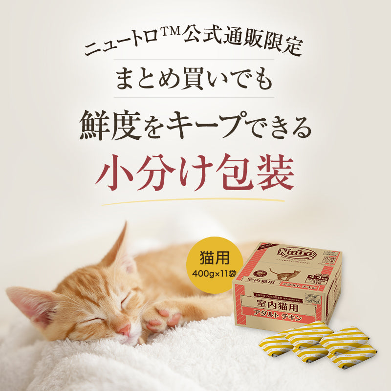 【公式通販限定】ニュートロ ナチュラル チョイス キャット 室内猫用 キトン チキン 子猫用 4.4kg（400g×11袋）