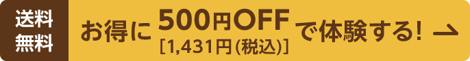 送料無料 お得に500円OFF[1,431円(税込)]で体験する!