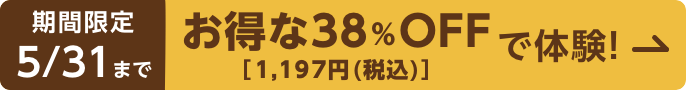 送料無料 お得に500円OFF[1,431円(税込)]で体験する!