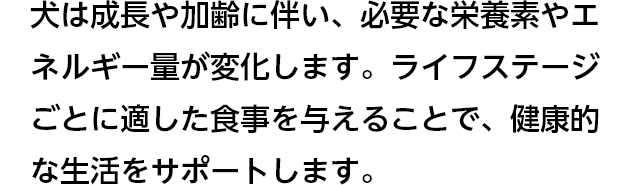 犬は成長や加齢に伴い、必要な栄養素やエネルギー量が変化します。ライフステージごとに適した餌を与えることで、健康的な生活をサポートします。