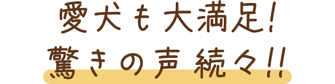 愛犬も大満足!驚きの声続々!!