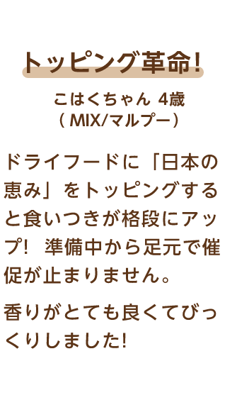 トッピング革命! ...