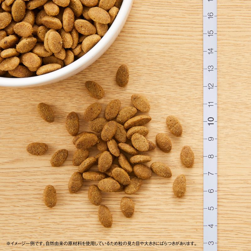 【公式通販限定】ニュートロ シュプレモ 小型犬用 成犬用 5.4kg（600g×9袋）